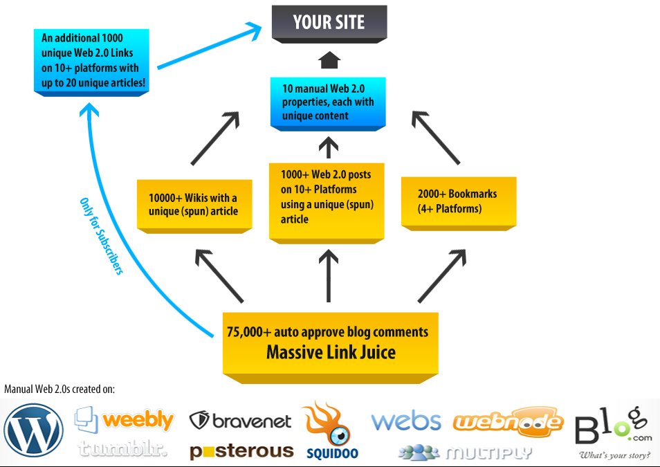 Backlink Strategy